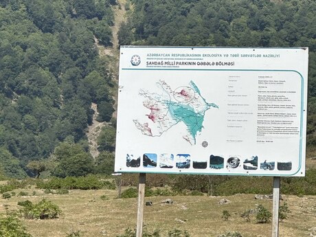 4 otaqlı həyət evi/bağ evi - Qəbələ - 130 m²