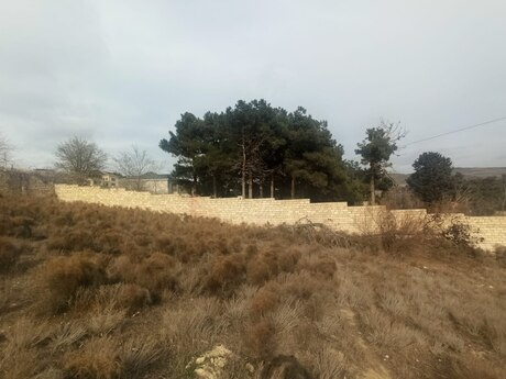 Satılır torpaq 26 sot, Şıxov q.