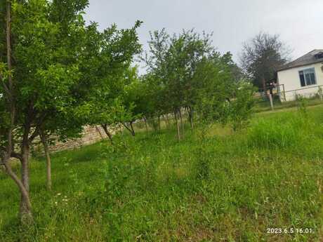 Satılır torpaq 18 sot, Qəbələ