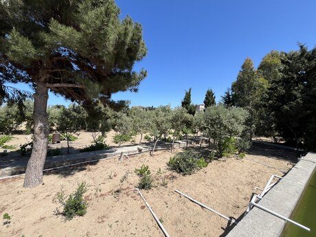 Satılır torpaq 44 sot, Nardaran q.