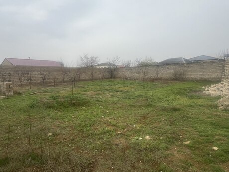 Satılır torpaq 9 sot, Albalılıq q.
