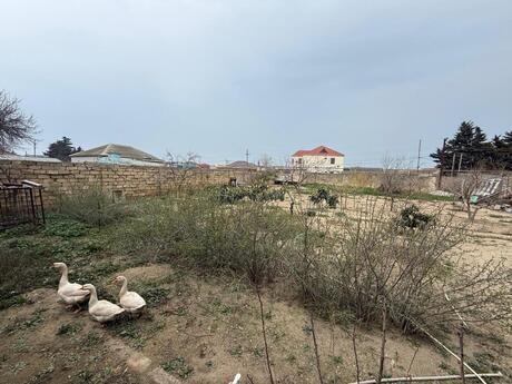 5 otaqlı həyət evi/bağ evi - Bilgəh q. - 200 m²