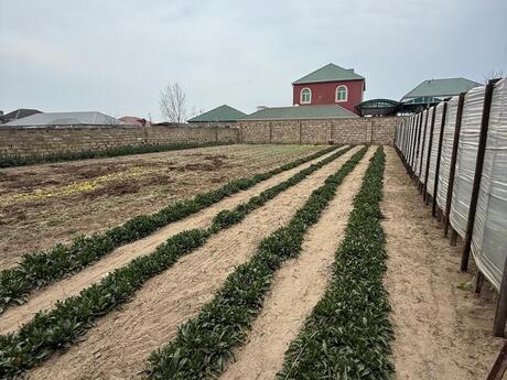 5 otaqlı həyət evi/bağ evi - Bilgəh q. - 200 m²