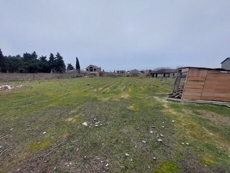Torpaq - Şamaxı - 500 sot