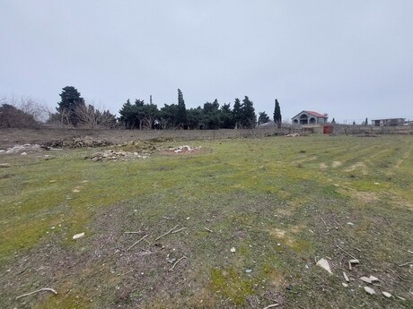 Torpaq - Şamaxı - 500 sot