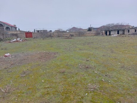 Torpaq - Şamaxı - 500 sot