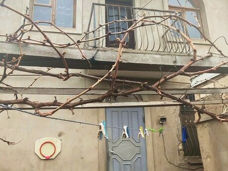 4 otaqlı həyət evi/bağ evi - Biləcəri q. - 160 m²