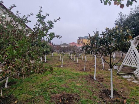2 otaqlı həyət evi/bağ evi - Zabrat q. - 55 m²