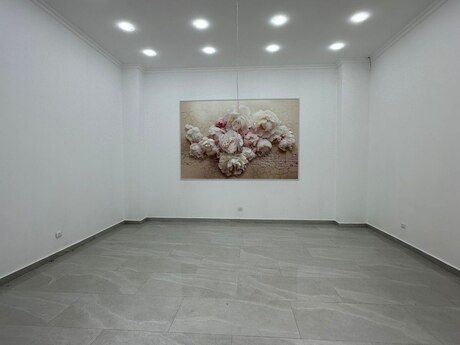 Elan №5992358 - Bakı, Nərimanov r., 330 m²