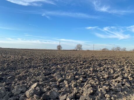 Объявление №5992390 - Сальян, Сальян, 21500 сот