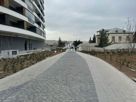 Biləcəri q.