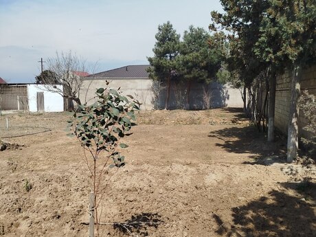 4 otaqlı həyət evi/bağ evi - Novxanı q. - 120 m²