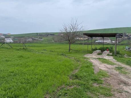 Elan №5992575 - Cəlilabad, Cəlilabad, 200 sot