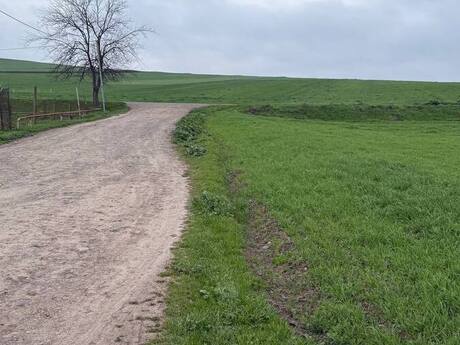 Torpaq - Cəlilabad - 200 sot