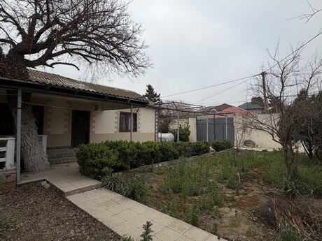 4 otaqlı həyət evi/bağ evi - Binə q. - 130 m²