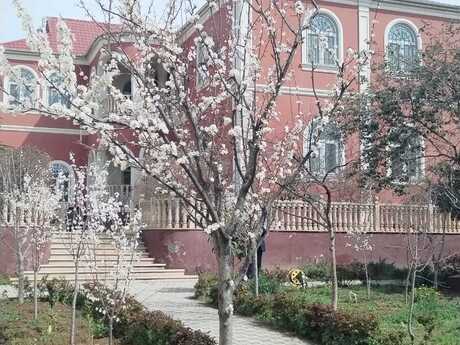 10 otaqlı həyət evi/bağ evi - Azadlıq Prospekti m. - 650 m²