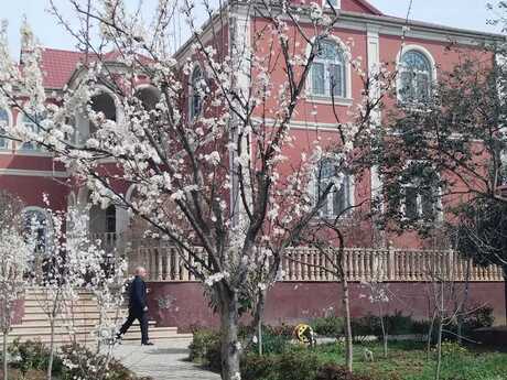 9 otaqlı həyət evi/bağ evi - Azadlıq Prospekti m. - 640 m²