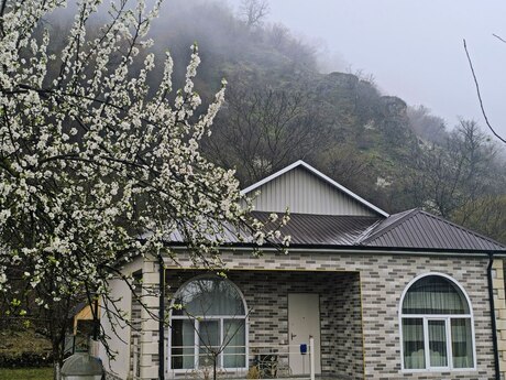3 otaqlı həyət evi/bağ evi - İsmayıllı - 100 m²