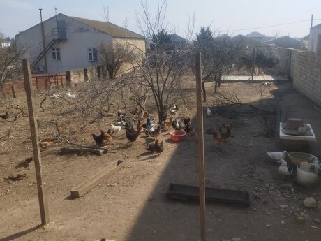 Satılır torpaq 8 sot, Novxanı q.