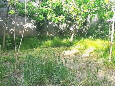 Объявление №5995217 - Баку, м. Гянджлик, 3 сот