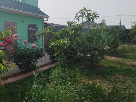 5 otaqlı həyət evi/bağ evi - Xızı - 380 m²