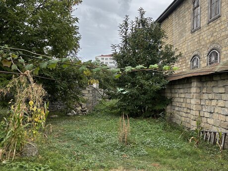Satılır torpaq 30 sot, Qəbələ