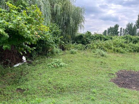 Объявление №5995585 - Исмаиллы, Исмаиллы, 12 сот