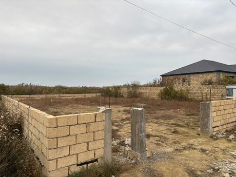 Объявление №5995639 - Баку, пос. Сарай, 6 сот