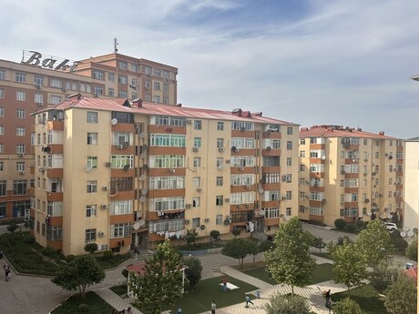 Masazır q.