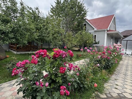 4 otaqlı həyət evi/bağ evi - Qəbələ - 340 m²