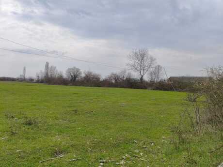 Satılır torpaq 10 sot, Qəbələ