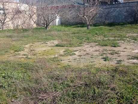 Объявление №5997173 - Баку, м. Кара Караев, 6 сот