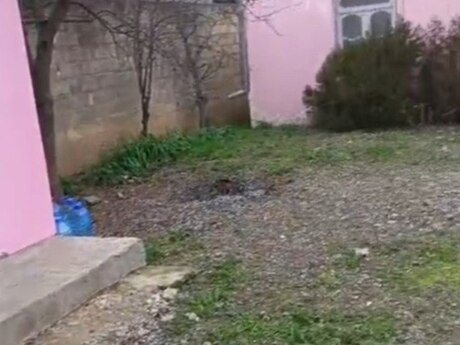Satılır 2 otaqlı həyət evi/bağ evi 55 m², Beyləqan