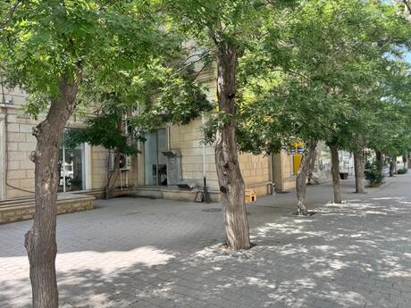 Obyekt - Elmlər Akademiyası m. - 250 m²