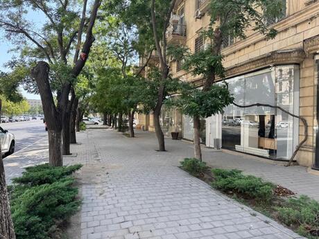 Obyekt - Elmlər Akademiyası m. - 250 m²