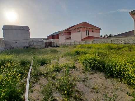 Объявление №5999269 - Баку, пос. Мардакан, 12 сот