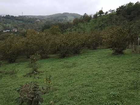 Satılır torpaq 48 sot, Quba