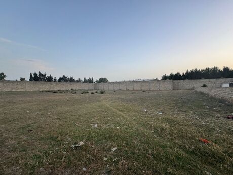 Объявление №6000043 - Баку, пос. Мардакан, 50 сот