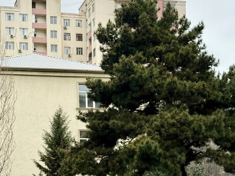 3 otaqlı yeni tikili - Azadlıq Prospekti m. - 100 m²