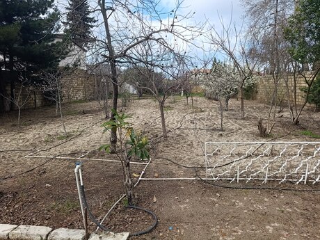 3 otaqlı həyət evi/bağ evi - Novxanı q. - 100 m²