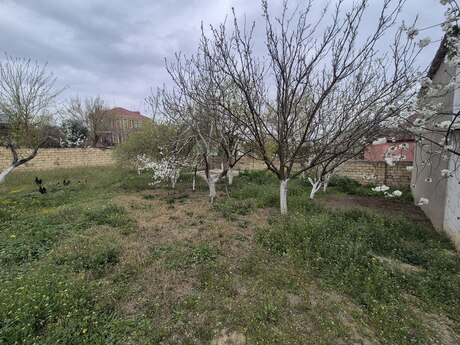 Satılır torpaq 5 sot, Sulutəpə q.