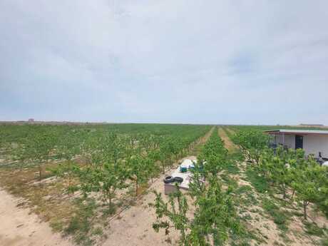 Elan №6001321 - Bakı, Türkan q., 200 sot