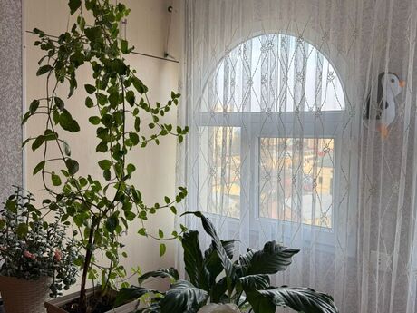 Объявление №6001962 - Баку, м. Кара Караев, 3-комн., 70 м², 7/9 этаж