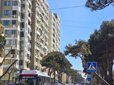 7 otaqlı həyət evi/bağ evi - Qaraçuxur q. - 230 m²