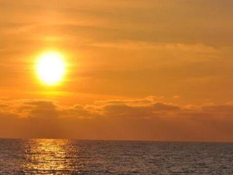 Объявление №6002797 - Баку, пос. Новханы, 9.5 сот