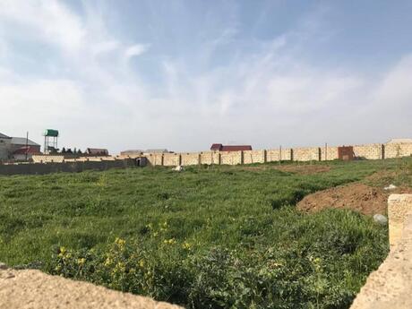 Torpaq - Mehdiabad q. - 6 sot