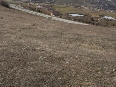 Elan №6003542 - Şamaxı, Şamaxı, 53 sot