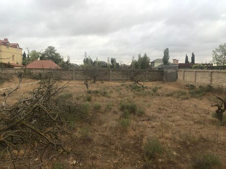 Объявление №6004142 - Баку, м. Насими, 6 сот