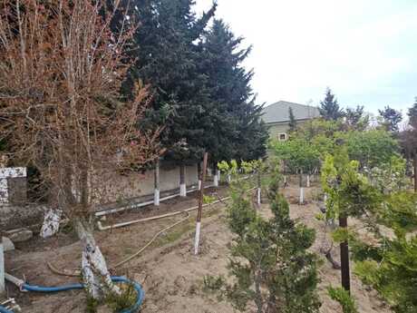 Объявление №6004209 - Баку, пос. Горадил, 12 сот