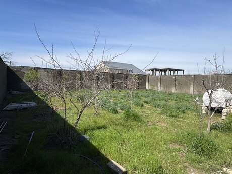 4 otaqlı həyət evi/bağ evi - Albalılıq q. - 200 m²
